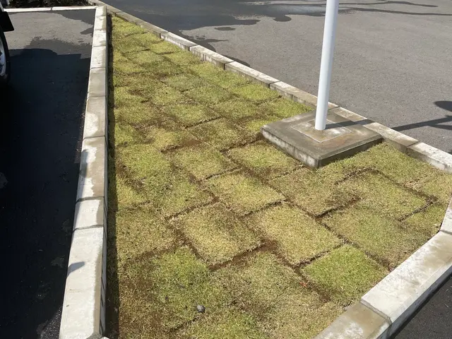 個人邸からマンション、会社の芝張りまで承ります。サービスの画像