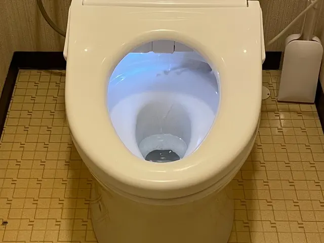 気になる尿石を落とし水垢除去◎無料でフッ素コーティングも致します！【保険加入店】サービスの画像