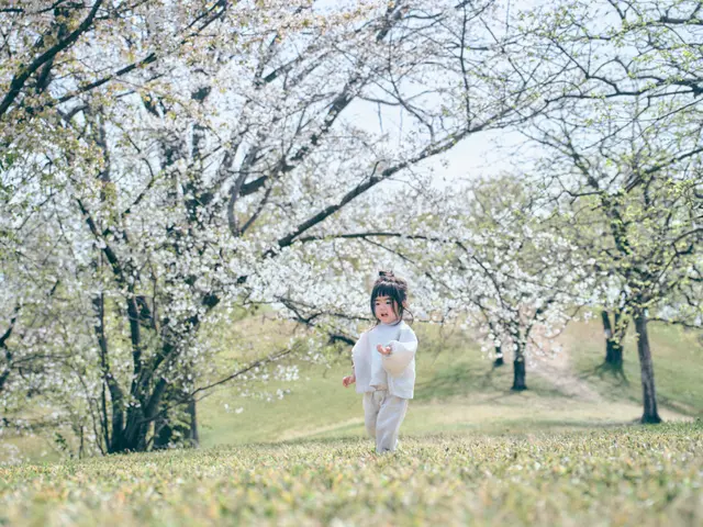 最高品質！公認心理師のカメラマンが撮る、感動の一枚