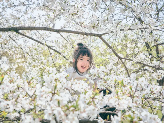 最高品質！公認心理師のカメラマンが撮る、感動の一枚