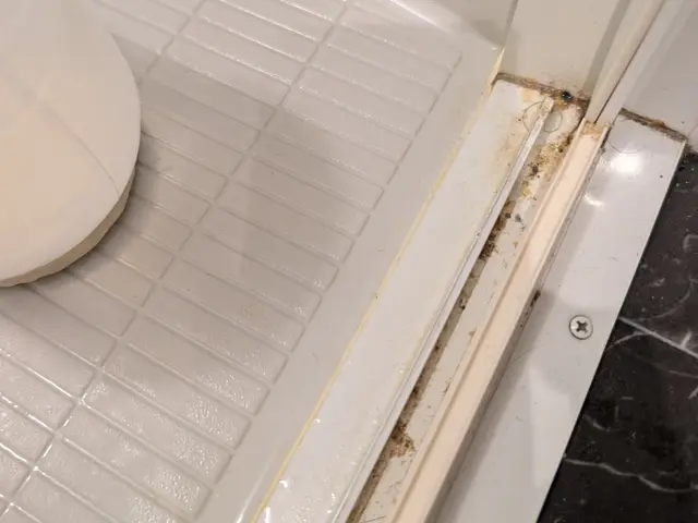 ★10月限定★通常価格より¥1,000割引キャンペーン実施中！この機会に是非！サービスの画像