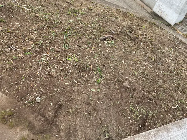 女性スタッフ同行OK◎営業時間外・対応地域外もご相談ください！サービスの画像