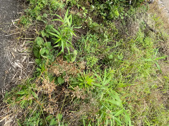 女性スタッフ同行OK◎営業時間外・対応地域外もご相談ください！サービスの画像