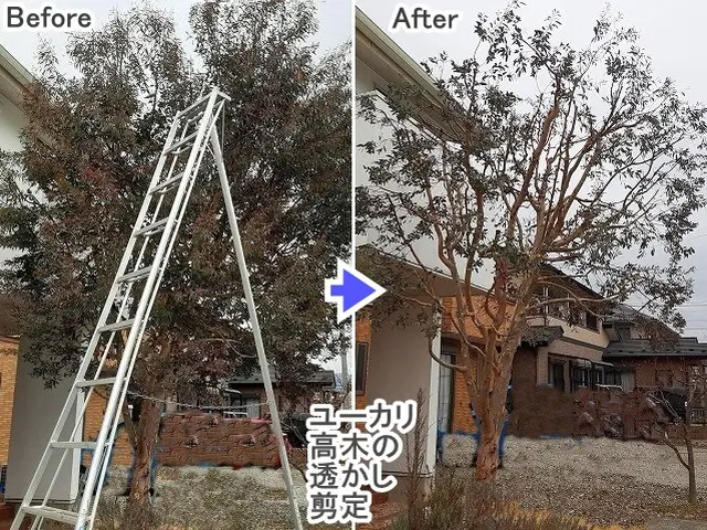 ★年内に庭木をキレイに！【３連続入賞店★口コミ好評】◆高崎の植木屋★ご予約早めにサービスの画像