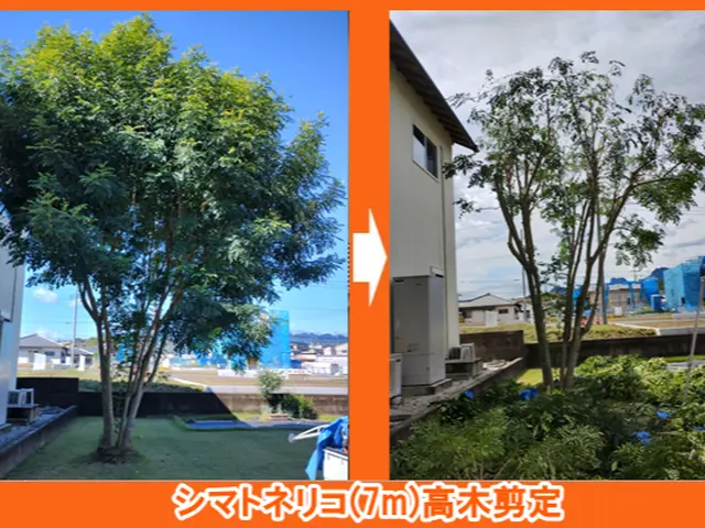 ★年内に庭木をキレイに！【３連続入賞店★口コミ好評】◆高崎の植木屋★ご予約早めにサービスの画像
