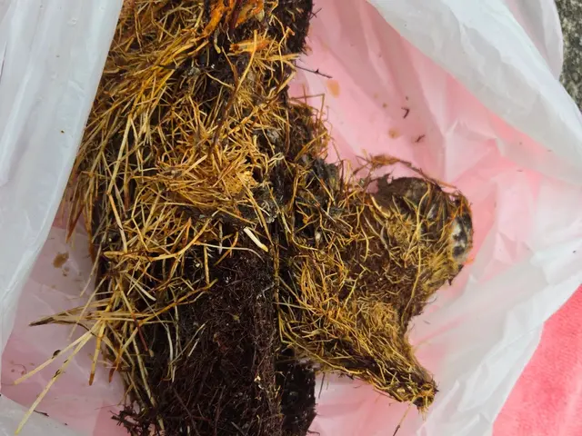 【即日対応可能】夜間・早朝も対応可能です！アフターフォローもお任せください！サービスの画像