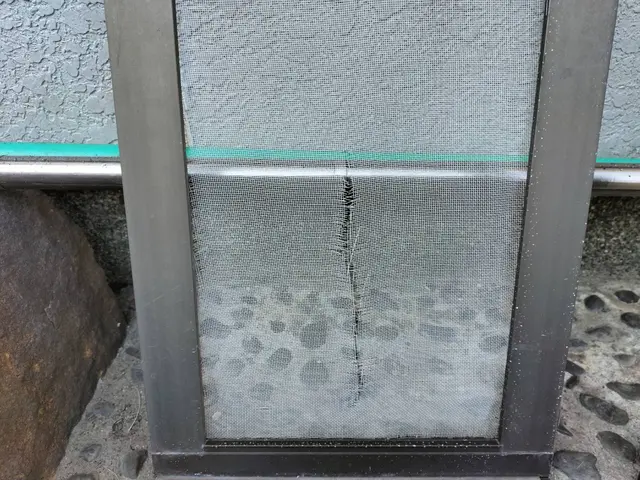 【女性スタッフ同行可能】岐阜市発☆網戸張替え☆サービスの画像