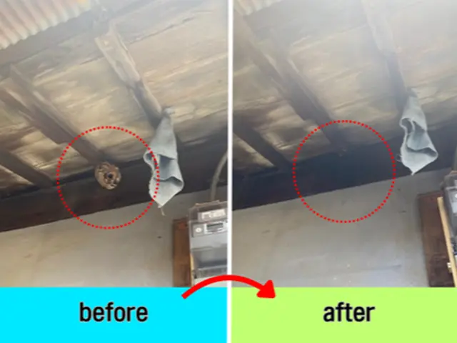 蜂駆除専門家が出動　地域が合えば即日翌日対応可！事前見積☆年内保証☆高評価店☆サービスの画像