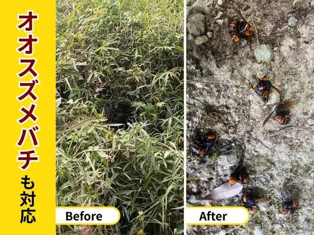 蜂駆除専門家が出動　地域が合えば即日翌日対応可！事前見積☆年内保証☆高評価店☆サービスの画像