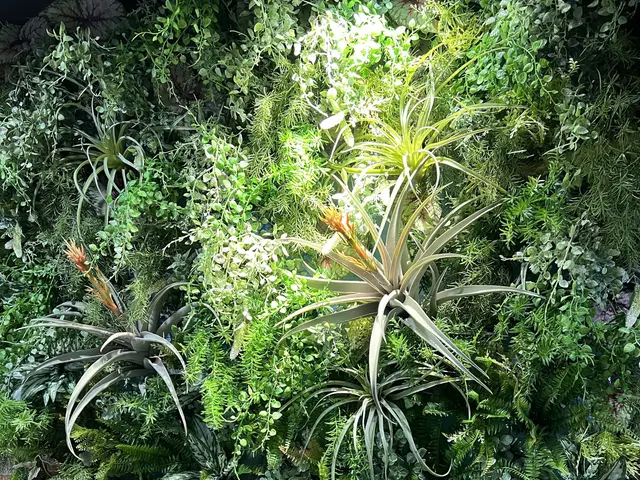 実績10年のスタッフが丁寧で納得の作業をさせていただきます。サービスの画像