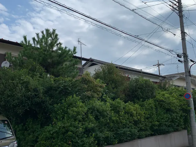 見てくれてありがとうございます！やっぱり頼んで良かった！そう言われたい！サービスの画像