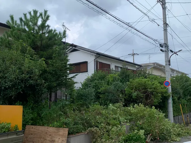 見てくれてありがとうございます！やっぱり頼んで良かった！そう言われたい！サービスの画像