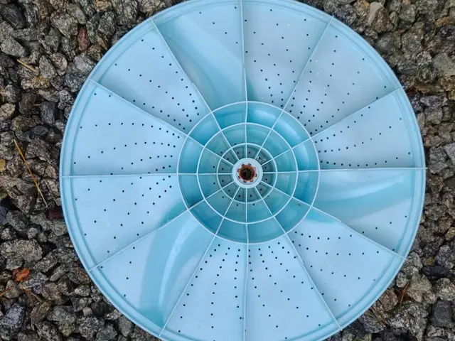 【自社グループのエコハーブ洗浄】消臭・除菌・殺菌・抗菌で汚れスッキリ！サービスの画像