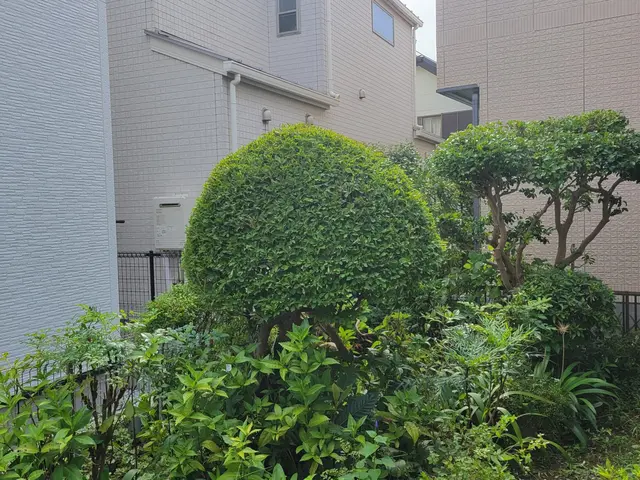 【職人歴25年の実績】茅ヶ崎・藤沢・寒川中心　地域密着店◎外注なし全て自社施工！サービスの画像