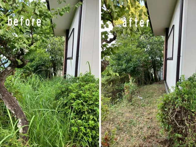 植木周りなど、草刈り機が使えないような場所の草むしり。サービスの画像