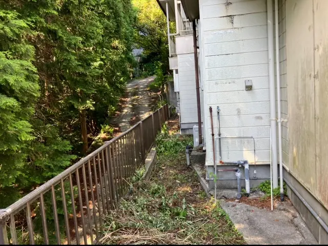 植木周りなど、草刈り機が使えないような場所の草むしり。サービスの画像