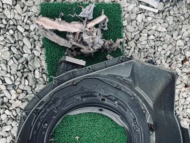 乾燥不良/におい/カビが気になりだしたらプロの分解内部洗浄で洗濯機を長く使えますサービスの画像