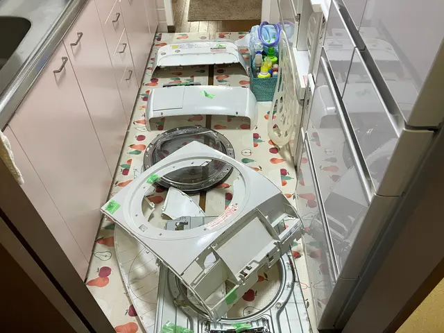 乾燥不良/におい/カビが気になりだしたらプロの分解内部洗浄で洗濯機を長く使えますサービスの画像