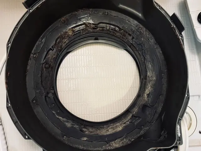 乾燥不良/におい/カビが気になりだしたらプロの分解内部洗浄で洗濯機を長く使えますサービスの画像