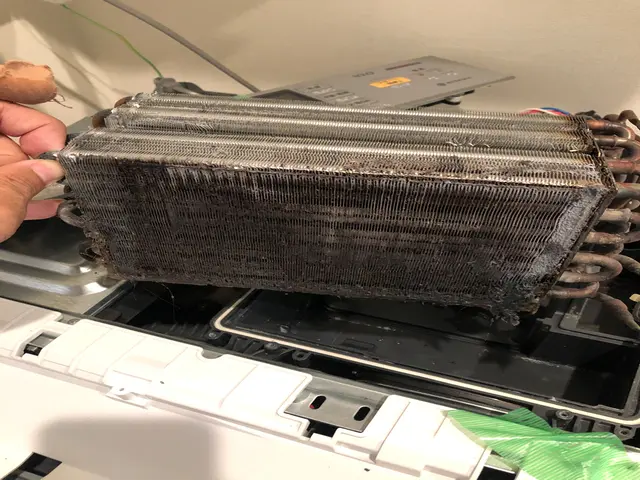 乾燥不良/におい/カビが気になりだしたらプロの分解内部洗浄で洗濯機を長く使えますサービスの画像