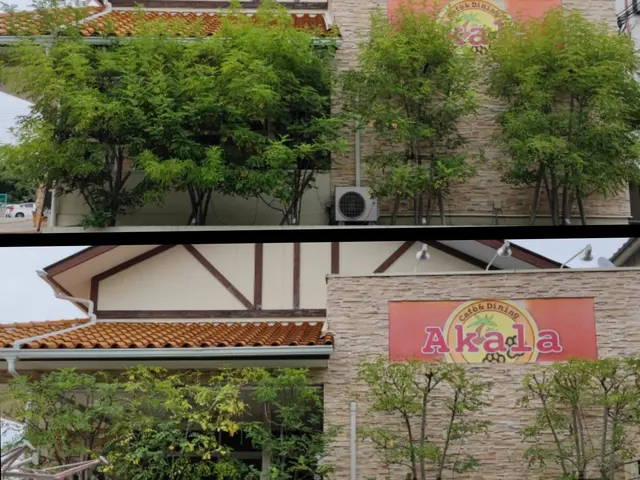 庭木をキレイに！【優しい美剪定】自然風透かし剪定であなたのお庭に木漏れ日をサービスの画像