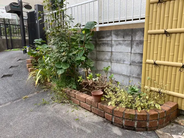 ●早く綺麗に極上仕上げ●お洒落センス抜群●親切丁寧100点サービスの画像