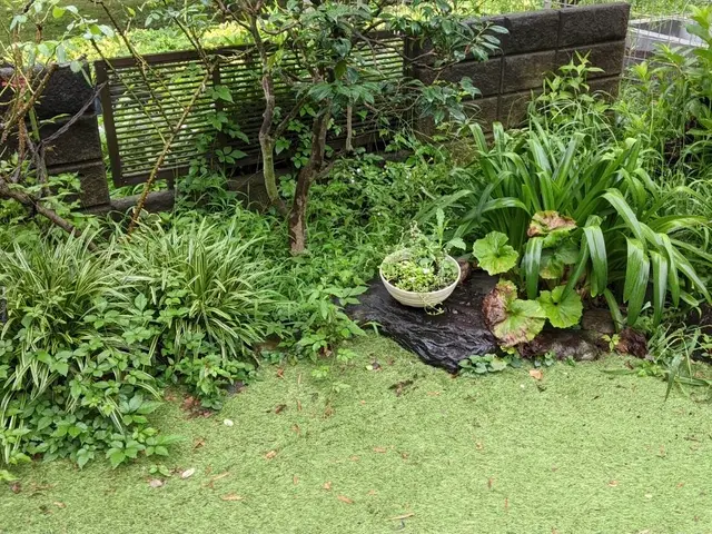 ●早く綺麗に極上仕上げ●お洒落センス抜群●親切丁寧100点サービスの画像