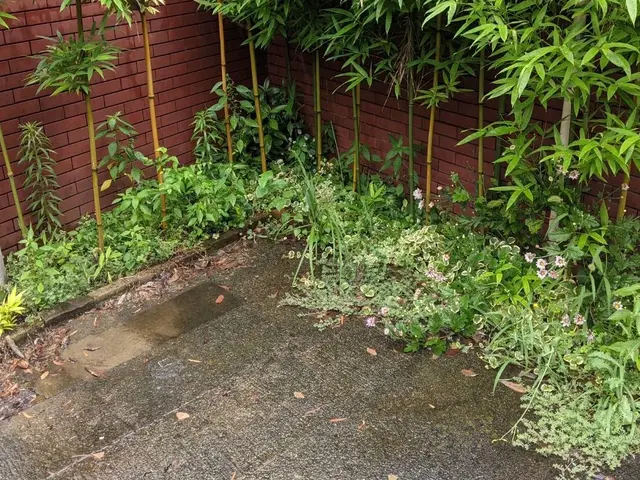 ●早く綺麗に極上仕上げ●お洒落センス抜群●親切丁寧100点サービスの画像