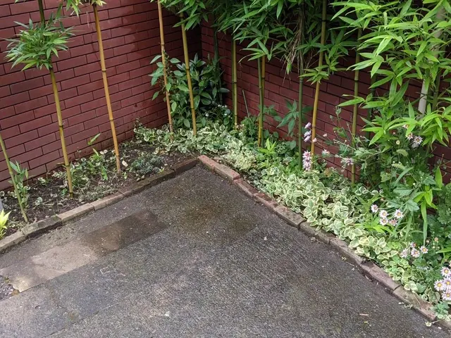 ●早く綺麗に極上仕上げ●お洒落センス抜群●親切丁寧100点サービスの画像