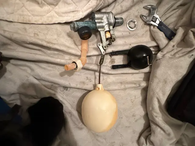 トイレタンクのレバーハンドル交換サービスの画像