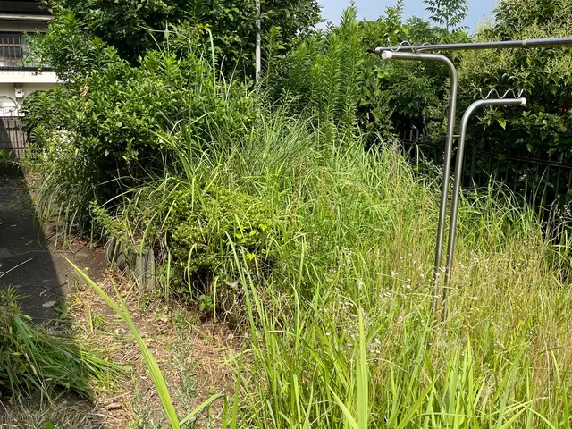 根強い雑草にお困りの方必見！若い力でお庭をきれいに！丁寧な作業がモットー！サービスの画像