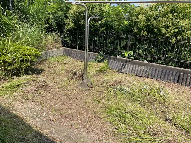 根強い雑草にお困りの方必見！若い力でお庭をきれいに！丁寧な作業がモットー！サービスの画像