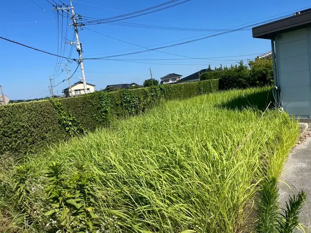 根強い雑草にお困りの方必見！若い力でお庭をきれいに！丁寧な作業がモットー！サービスの画像