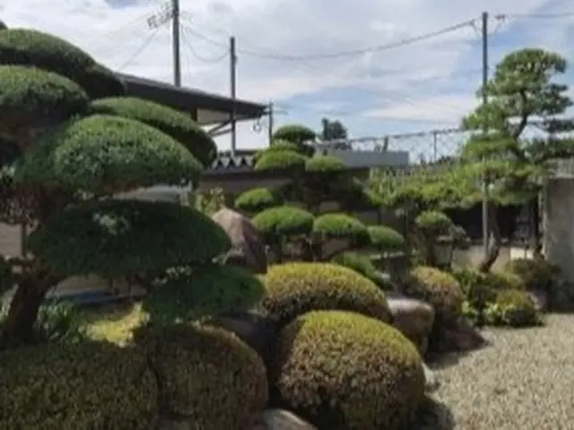 庭師歴10年のプロの庭師が対応★庭木が伸びる季節です！空き家のご相談も歓迎！サービスの画像