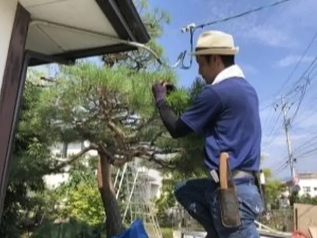 庭師歴10年のプロの庭師が対応★庭木が伸びる季節です！空き家のご相談も歓迎！サービスの画像