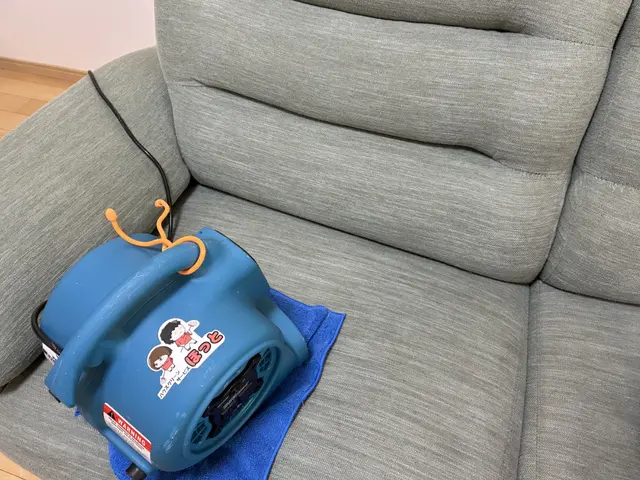 個人・法人対応｜ソファ丸洗い洗浄｜業務用機械と肌にやさしい専用洗剤で徹底洗浄！サービスの画像