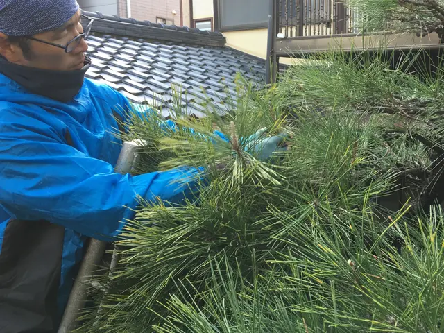 丁寧で安心と高評価です、お気軽にご依頼ください！サービスの画像