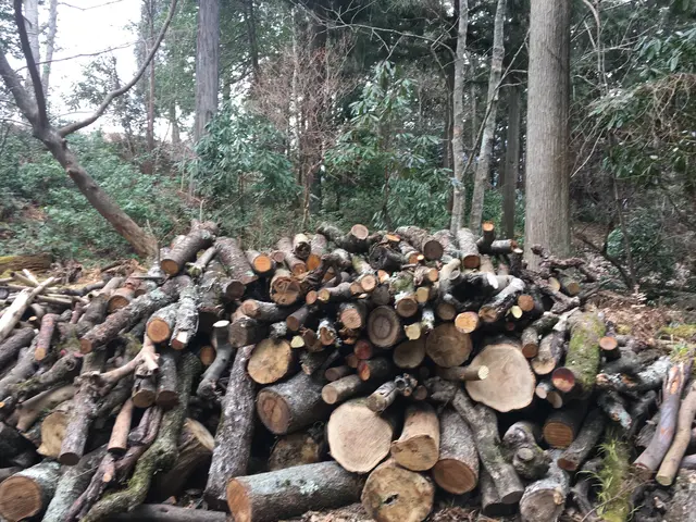 丁寧で安心と高評価です、お気軽にご依頼ください！サービスの画像