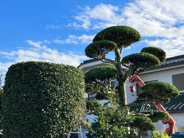 安心の有名飲食チェーン店管理店。店長本人がお伺いいたします。サービスの画像