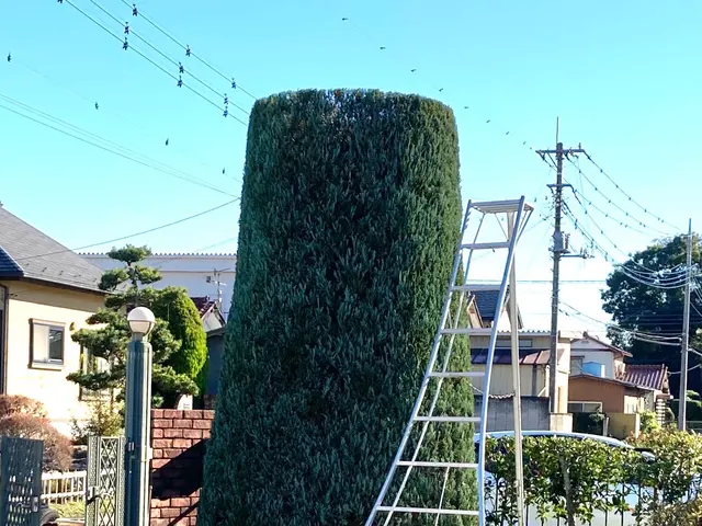 安心の有名飲食チェーン店管理店。店長本人がお伺いいたします。サービスの画像