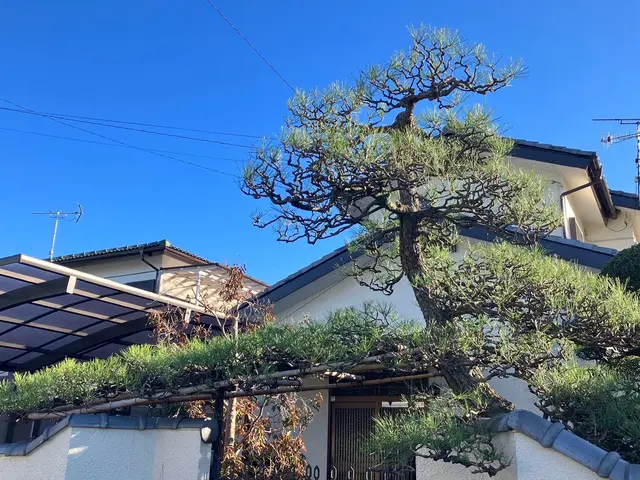 安心の有名飲食チェーン店管理店。店長本人がお伺いいたします。サービスの画像