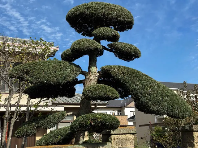 安心の有名飲食チェーン店管理店。店長本人がお伺いいたします。サービスの画像