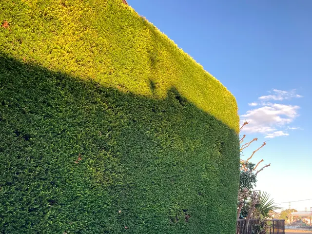 安心の有名飲食チェーン店管理店。店長本人がお伺いいたします。サービスの画像