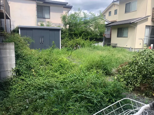 ◆京都の五条の植木屋です◆期間限定で出店しております◆宜しくお願い致します。サービスの画像