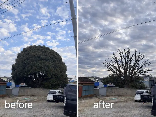 実績1000件超え！写真で無料お見積もり可能♪複数割あります。5割以上割引あり。サービスの画像