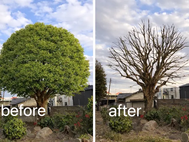 実績1000件超え！写真で無料お見積もり可能♪複数割あります。5割以上割引あり。サービスの画像