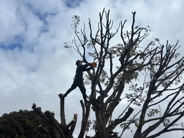 実績1000件超え！写真で無料お見積もり可能♪複数割あります。5割以上割引あり。サービスの画像