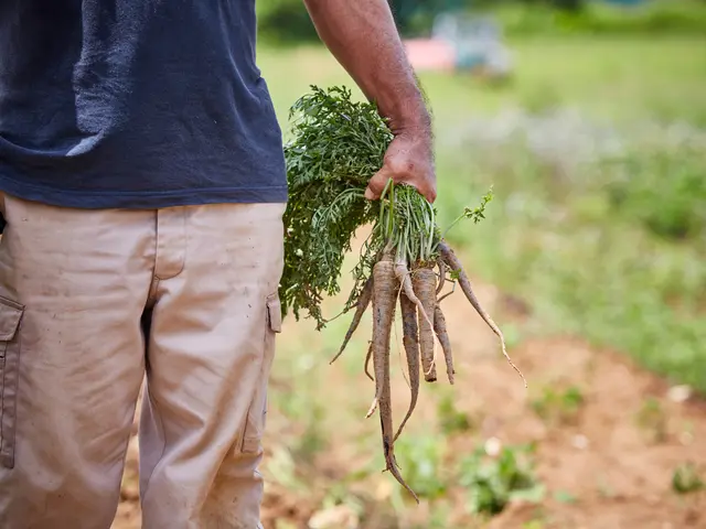 飲食店撮影！ベテランカメラマンが撮影！翌日納品・時間外相談可不慣れな方もサポート