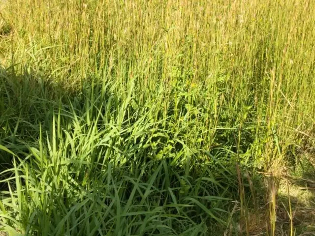 【12月1日以降でまだ空き日ございますのでお問い合わせ下さい】◎女性スタッフ可サービスの画像