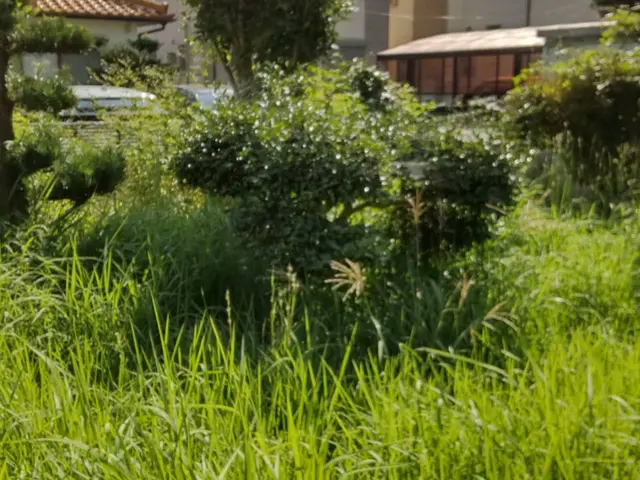 【12月1日以降でまだ空き日ございますのでお問い合わせ下さい】◎女性スタッフ可サービスの画像